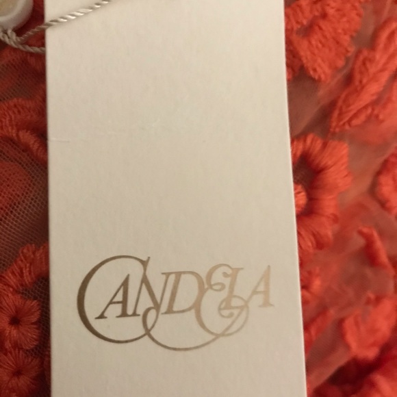 New Candella Orange Top sheer lace Tangerine, Sexy, club, party, cute, bright - Picture 8 of 12